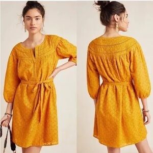Anthropologie—Daniel Rainn NWT  Embroidered belted Dress  SZ M  Gold